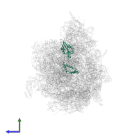 Large ribosomal subunit protein mL46 in PDB entry 6yws, assembly 1, side view.