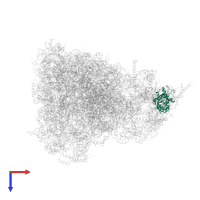 Large ribosomal subunit protein mL46 in PDB entry 6yws, assembly 1, top view.
