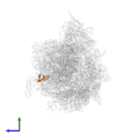 Large ribosomal subunit protein mL49 in PDB entry 6yws, assembly 1, side view.