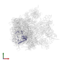 Large ribosomal subunit protein mL50 in PDB entry 6yws, assembly 1, front view.