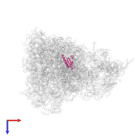 Large ribosomal subunit protein mL53 in PDB entry 6yws, assembly 1, top view.
