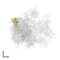 Large ribosomal subunit protein mL57 in PDB entry 6yws, assembly 1, front view.