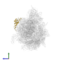 Large ribosomal subunit protein mL57 in PDB entry 6yws, assembly 1, side view.