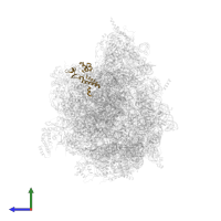 Large ribosomal subunit protein mL58 in PDB entry 6yws, assembly 1, side view.