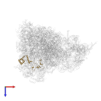 Large ribosomal subunit protein mL58 in PDB entry 6yws, assembly 1, top view.