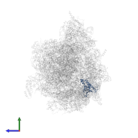 Large ribosomal subunit protein mL67 in PDB entry 6yws, assembly 1, side view.