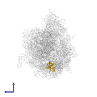 Large ribosomal subunit protein uL1m in PDB entry 6yws, assembly 1, side view.