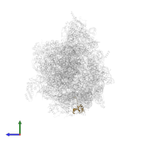 Large ribosomal subunit protein bL9m in PDB entry 6yws, assembly 1, side view.