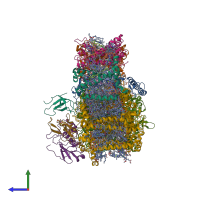 Hetero undecameric assembly 1 of PDB entry 6yxr coloured by chemically distinct molecules, side view.