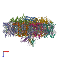 Hetero undecameric assembly 1 of PDB entry 6yxr coloured by chemically distinct molecules, top view.