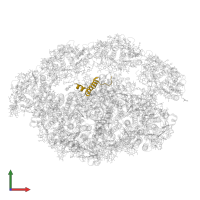Photosystem I reaction center subunit IX in PDB entry 6yxr, assembly 1, front view.