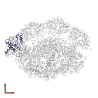 Chlorophyll a-b binding protein, chloroplastic in PDB entry 6yxr, assembly 1, front view.