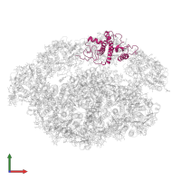 Lhca4 in PDB entry 6yxr, assembly 1, front view.