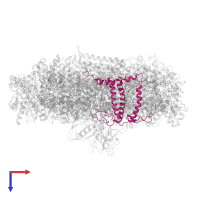 Lhca4 in PDB entry 6yxr, assembly 1, top view.