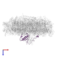 PsaD in PDB entry 6yxr, assembly 1, top view.
