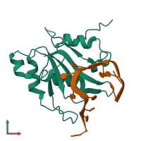 Hetero dimeric assembly 1 of PDB entry 6yym coloured by chemically distinct molecules, front view.