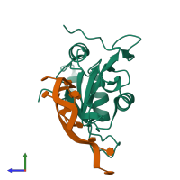 Hetero dimeric assembly 1 of PDB entry 6yym coloured by chemically distinct molecules, side view.