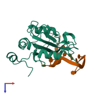 Hetero dimeric assembly 1 of PDB entry 6yym coloured by chemically distinct molecules, top view.