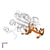 RNA (5'-R(*GP*CP*UP*UP*UP*UP*UP*GP*UP*UP*CP*G)-3') in PDB entry 6yym, assembly 1, top view.