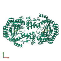 Homo dimeric assembly 1 of PDB entry 6yyz coloured by chemically distinct molecules, front view.