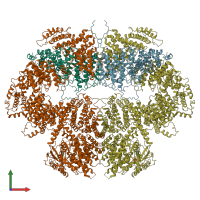PDB entry 6z2x coloured by chain, front view.