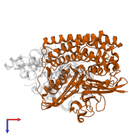 Periplasmic [NiFeSe] hydrogenase, large subunit, selenocysteine-containing in PDB entry 6z9g, assembly 1, top view.