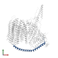 ATP synthase subunit e, mitochondrial in PDB entry 6za9, assembly 1, front view.