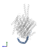 ATP synthase subunit e, mitochondrial in PDB entry 6za9, assembly 1, side view.