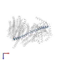 ATP synthase subunit e, mitochondrial in PDB entry 6za9, assembly 1, top view.