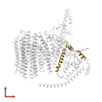 ATP synthase subunit f, mitochondrial in PDB entry 6zbb, assembly 1, front view.