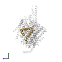 ATP synthase subunit f, mitochondrial in PDB entry 6zbb, assembly 1, side view.