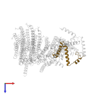 ATP synthase subunit f, mitochondrial in PDB entry 6zbb, assembly 1, top view.