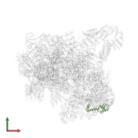 Small ribosomal subunit protein uS13A in PDB entry 6zce, assembly 1, front view.