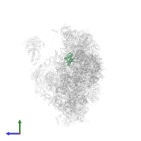Small ribosomal subunit protein uS8A in PDB entry 6zce, assembly 1, side view.