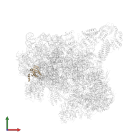 Small ribosomal subunit protein eS24A in PDB entry 6zce, assembly 1, front view.