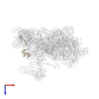 Small ribosomal subunit protein eS24A in PDB entry 6zce, assembly 1, top view.