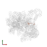Small ribosomal subunit protein eS26A in PDB entry 6zce, assembly 1, front view.