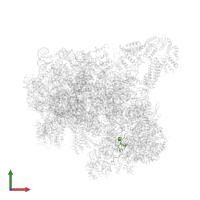 Small ribosomal subunit protein uS14A in PDB entry 6zce, assembly 1, front view.