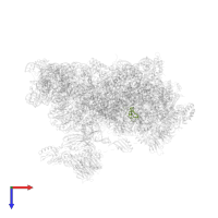 Small ribosomal subunit protein uS14A in PDB entry 6zce, assembly 1, top view.