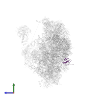 Eukaryotic translation initiation factor eIF-1 in PDB entry 6zce, assembly 1, side view.
