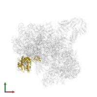 Translation initiation factor RLI1 in PDB entry 6zce, assembly 1, front view.