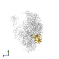 Translation initiation factor RLI1 in PDB entry 6zce, assembly 1, side view.