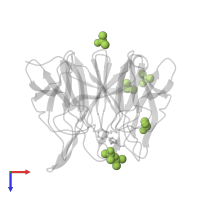 DIMETHYL SULFOXIDE in PDB entry 6zex, assembly 1, top view.