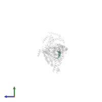 ATP synthase protein 8 in PDB entry 6zit, assembly 1, side view.