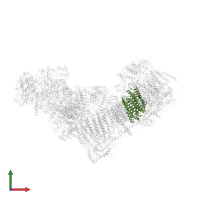 NADH-ubiquinone oxidoreductase chain 4 in PDB entry 6zkc, assembly 1, front view.