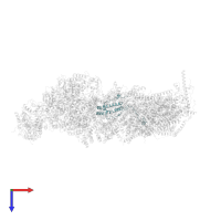 NADH dehydrogenase [ubiquinone] 1 alpha subcomplex subunit 8 in PDB entry 6zkc, assembly 1, top view.