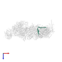 NADH dehydrogenase [ubiquinone] 1 beta subcomplex subunit 4 in PDB entry 6zkc, assembly 1, top view.