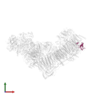 NADH:ubiquinone oxidoreductase subunit B7 in PDB entry 6zkc, assembly 1, front view.