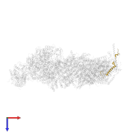 NADH:ubiquinone oxidoreductase subunit B2 in PDB entry 6zkc, assembly 1, top view.