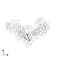 NADH-ubiquinone oxidoreductase chain 3 in PDB entry 6zkc, assembly 1, front view.